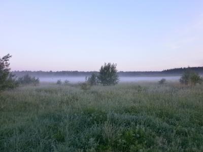 Прикрепленное изображение: P5260725.JPG